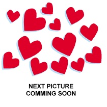 Next Picture